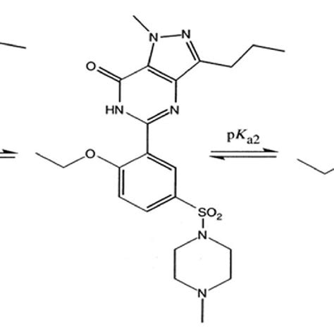 Evolution of sildenafil synthetic routes: (a) initial synthesis of... | Download Scientific Diagram