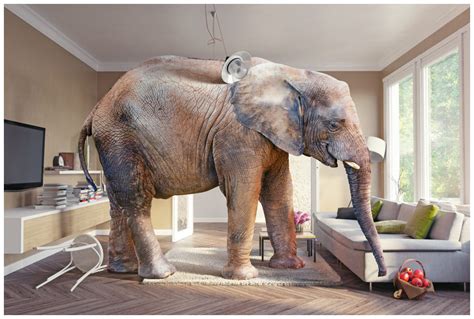 The elephant in the room! -- Don't Panic! Lighten Up! -- Sott.net