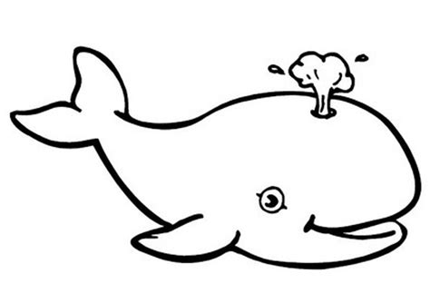 Whale Coloring Pages For Kids at GetColorings.com | Free printable colorings pages to print and ...