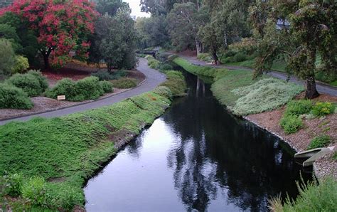 UC Davis Arboretum » Venue Vixens