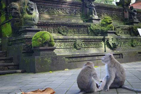 Temple – Sanctuary of the Sacred Monkey Forest – Ubud, Bali ...