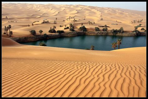 Oasis in the Sahara Desert [1230x830] : r/EarthPorn