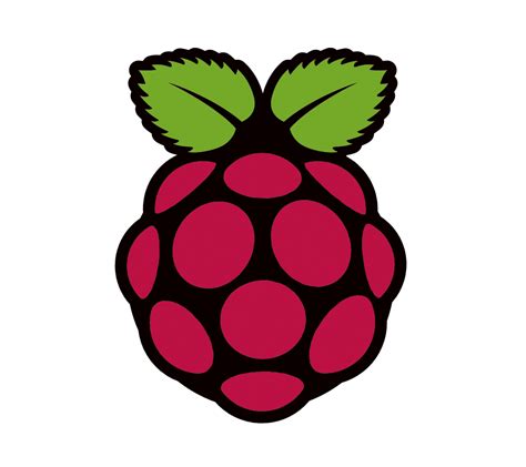 Sparrows in the Library: Assignment 4 - Raspberry Pi in Libraries