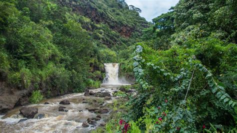 Waimea Falls Oahu Hike: A Comprehensive Guide - Real Hawaii Tours