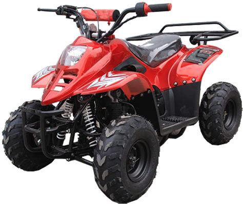 Buy TAO TAO 110cc ATV Fully Automatic Four Wheelers ATV Quads for Kids ...