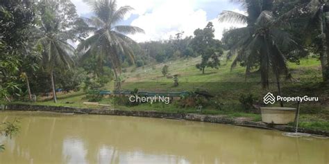 Raub, Pahang, Raub District, Pahang, Agricultural Lands for sale, by Cheryl Ng, RM 3,320,000 ...