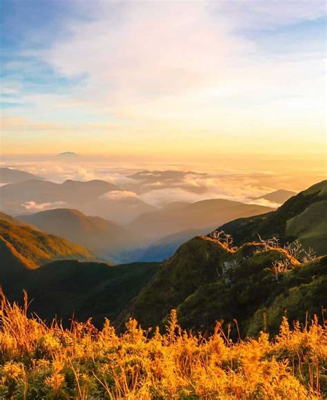 Mt. Pulag: Everything you need to know before travelling - KAMI.COM.PH