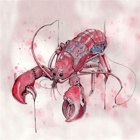 Pin by Rudolf Segers on Food Art | Lobster art, Lobster drawing, Animal drawings