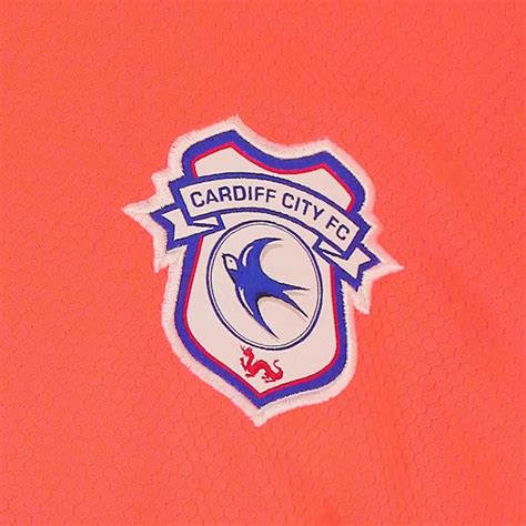 Cardiff City 2020-21 GK 1 Kit