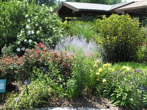 Landscaping Plants For Missouri | Small Yard Landscaping Ideas