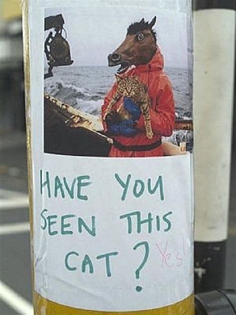 10 Hilarious Posters For Missing Cats | Pet signs, Cat posters, Lost cat poster