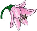 Free Clip Art - Flowers Page 1