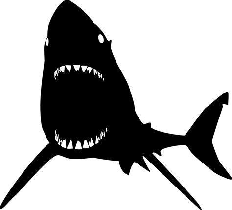 Blue shark Mouth - sharks png download - 1577*1430 - Free Transparent ...