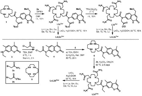 Scheme 1. Synthesis of new ligands and complexes. | Download Scientific Diagram