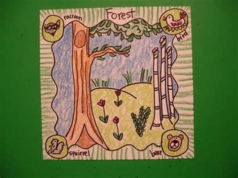 Forest Habitat Drawing at GetDrawings | Free download