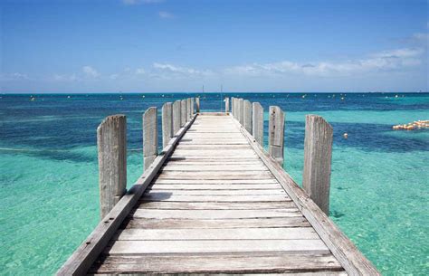 Jetty definition and meaning | Collins English Dictionary