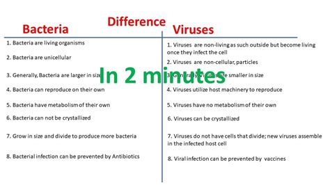 Difference between Bacteria and Virus | Bacteria vs Virus | - YouTube