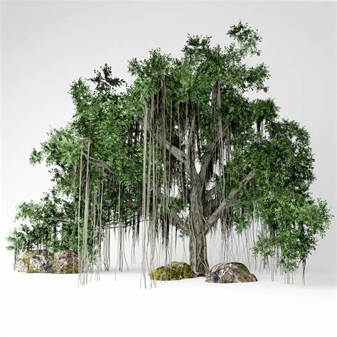 Banyan tree 3D Model $49 - .obj .fbx .max - Free3D