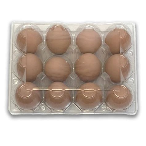 Plastic Clear Egg Cartons, Bulk Wholesale Pricing – EggCartons.Com