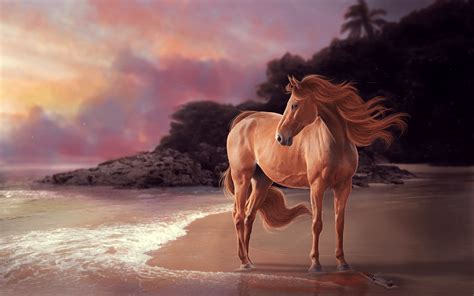 Horse Sunset Wallpapers - Top Free Horse Sunset Backgrounds ...