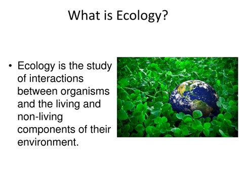 What Is Ecology Types Importance And Examples Of Ecology - ZOHAL