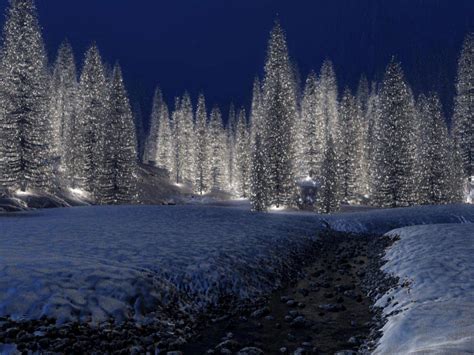 Snowy Christmas Scene Wallpaper - 1600x1200 - 433845 | Christmas scenery, Christmas landscape ...