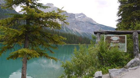 Dhirubhai Patel: Emerald Lake, Banff, Canada