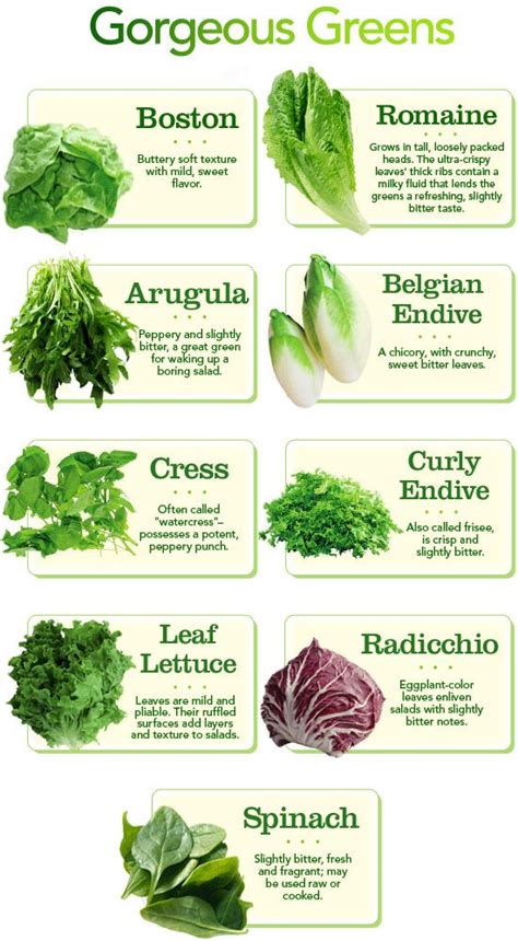 √ Vegetable Different Types Of Salads - Italus Elaine