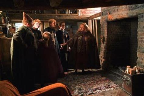 Image - The Weasleys at the Burrow.jpg - Harry Potter Wiki