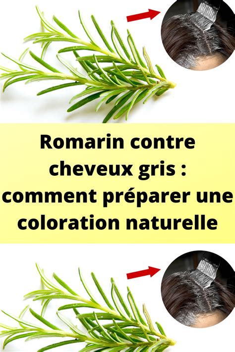 Romarin contre cheveux gris : comment préparer une coloration naturelle - Jardin Et Bricolage ...