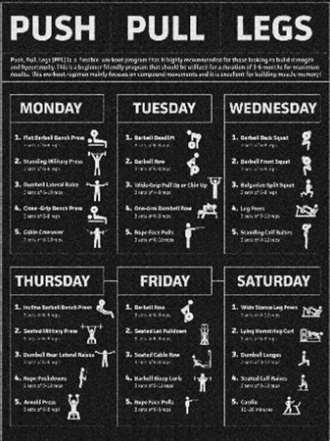 Weekly Workout Program Gym Planner Beginner Friendly Workout Plan ...