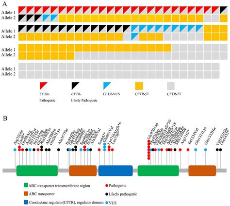 CFTR gene variants. (A) Pathogenic variants, Likely Pathogenic variants... | Download Scientific ...