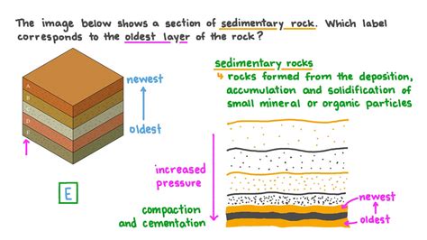 Question Video: Identifying Which Layer of Sedimentary Rock Is the Oldest from a Given Image | Nagwa