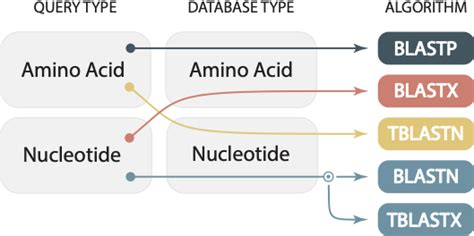 BLASTN, TBLASTX, BLASTP, TBLASTN, BLASTX - which should I choose? | SequenceServer