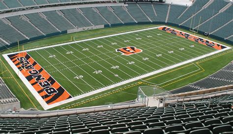 Bengals Stadium | Cincinnati Football Turf | The Motz Group