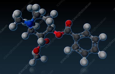 Cocaine Molecular Model, illustration - Stock Image - F031/7685 ...