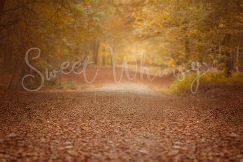 3 Dreamy Fall Forest Digital Backdrops Photoshop Digital Backgrounds ...