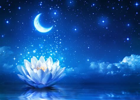 Blue Lotus Wallpapers - Top Free Blue Lotus Backgrounds - WallpaperAccess