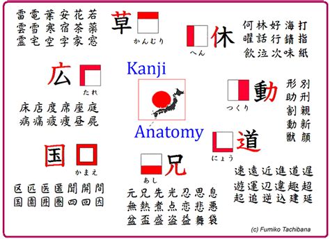 How to Look Up Kanji You Don't Know