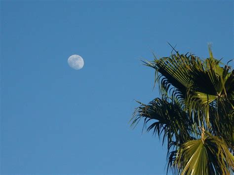 Daytime Moon Photograph by Emily Salguero