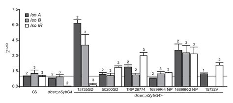 Proposal: What is the function of FoxP in operant self-learning?