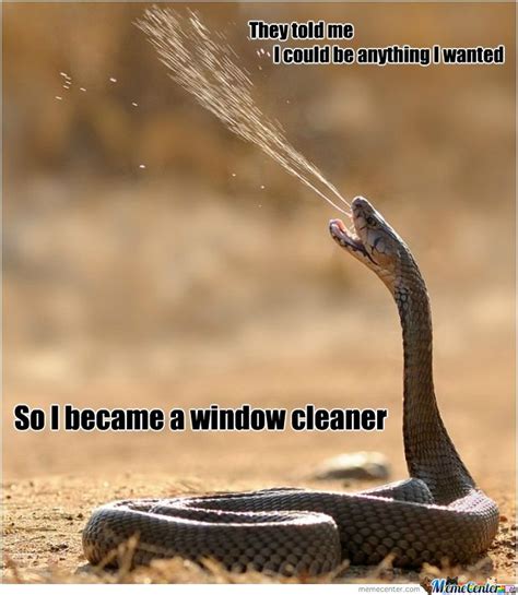 25 Very Funny Snake Meme Photos And Images