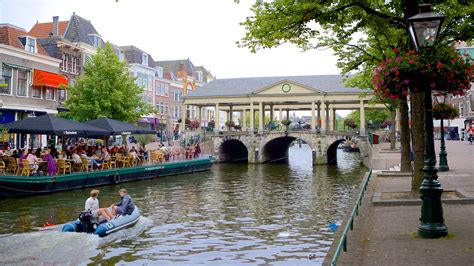 Where to Stay in Leiden: Best neighborhoods | Expedia