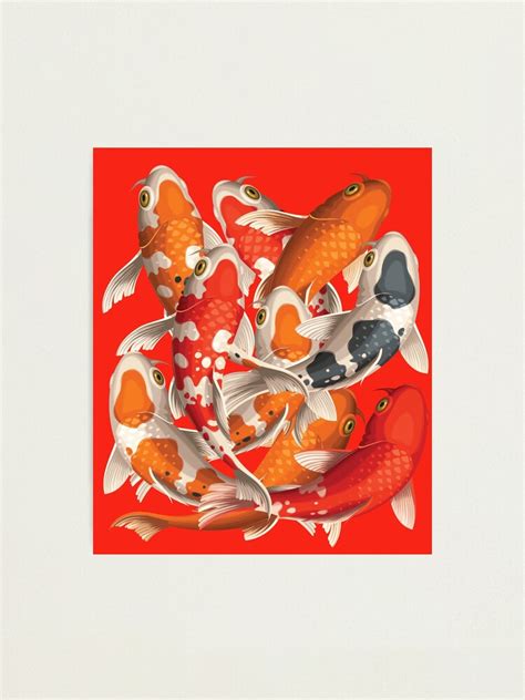 "Koi Fish Pond Art - Analogous Scarlet Red" Photographic Print for Sale ...