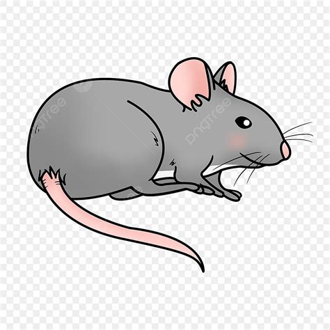 Cute Rat Clipart Transparent PNG Hd, Cute Gray Rat Clipart, Rat Clipart ...