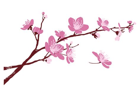 branches of cherry blossom - Clip Art Library