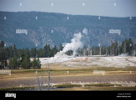 Geysers of Yellowstone Stock Photo - Alamy