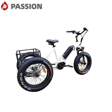 China Three Wheel Electric Cargo Bike Manufacturers Suppliers Factory ...