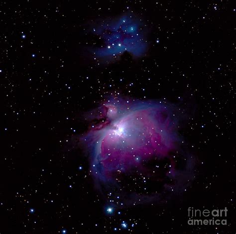 Orion Nebula Astrophotography Photograph by Scott Space Shots - Pixels