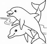 Dolphin Coloring Pages To Print Dolphins The sketch template
